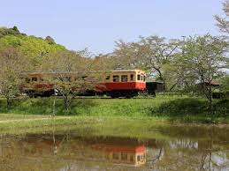 A historical train passing through a satoyama landscape in Chiba Prefecture, an hour from Tokyo!