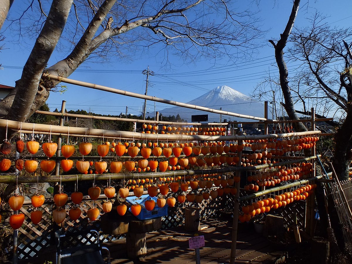 In December and Japanese winter months you can see persimmons or hoshigaki soaking up the sun