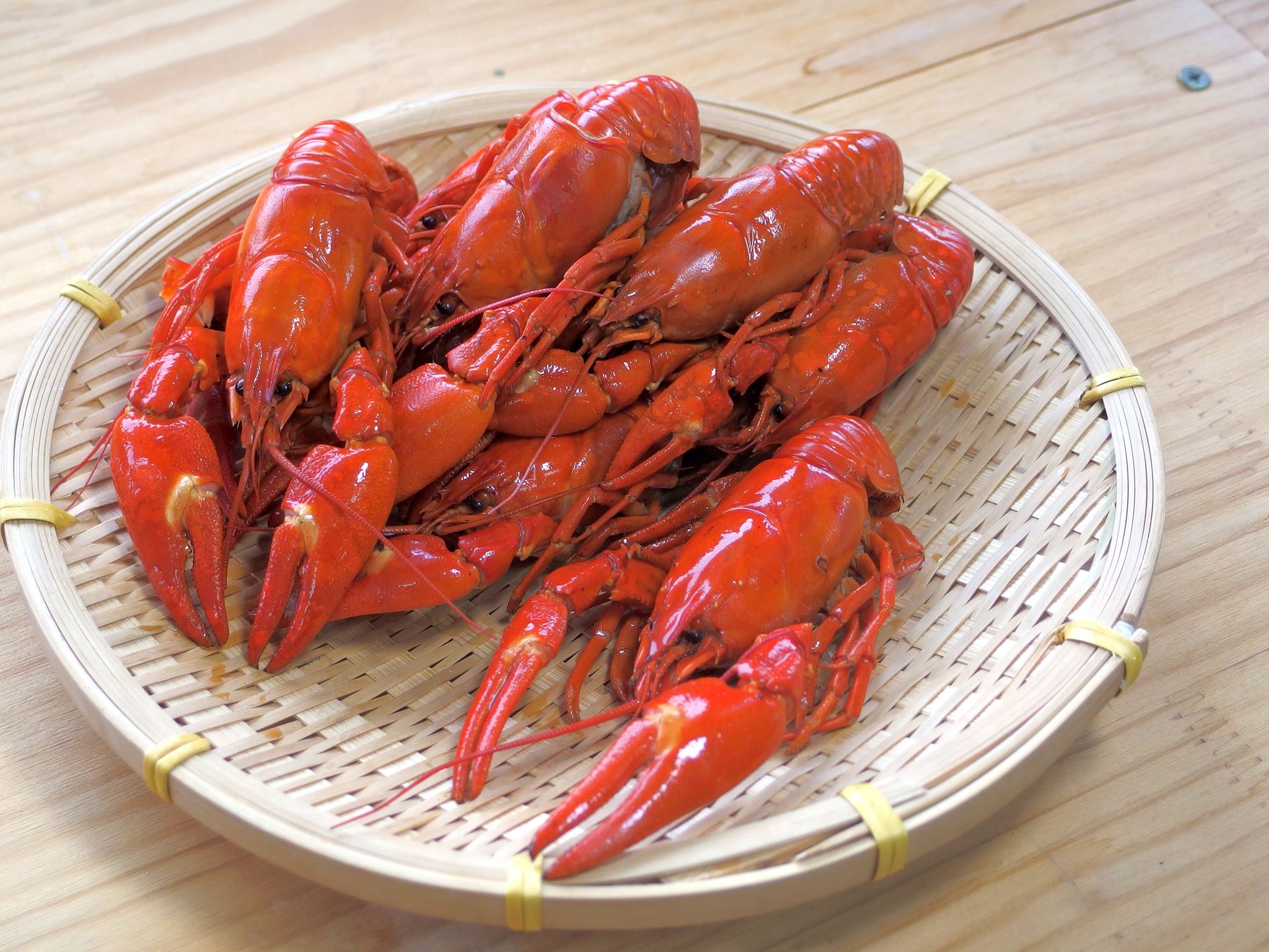 Hokkaido winter season red king crab at their very best!