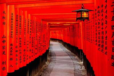The mysterious and deep spiritual vibrations at Kyoto's Fushimi Inari Grand Shrine are a Golden Route highlight experience!
