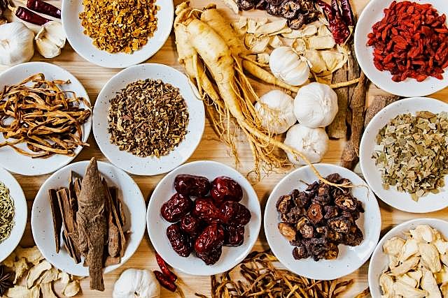 Toyama's 400-year-old Japanese traditional kampo medicine is made from plants like these.