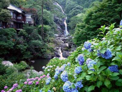 The rich forested areas of inland Kyushu