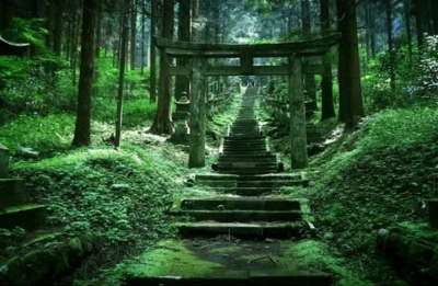 Ancient Shinto shrine in a forest in Kyushu