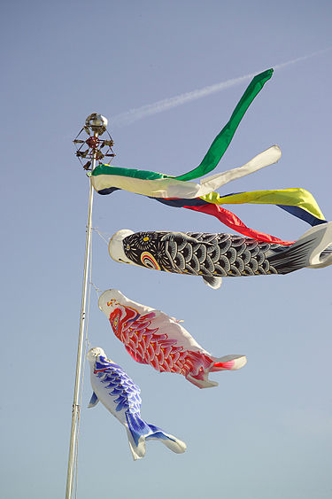 The month of May is the month of children in Japan and in the old days especially boys. Each koinobori carp kite represents one boy.