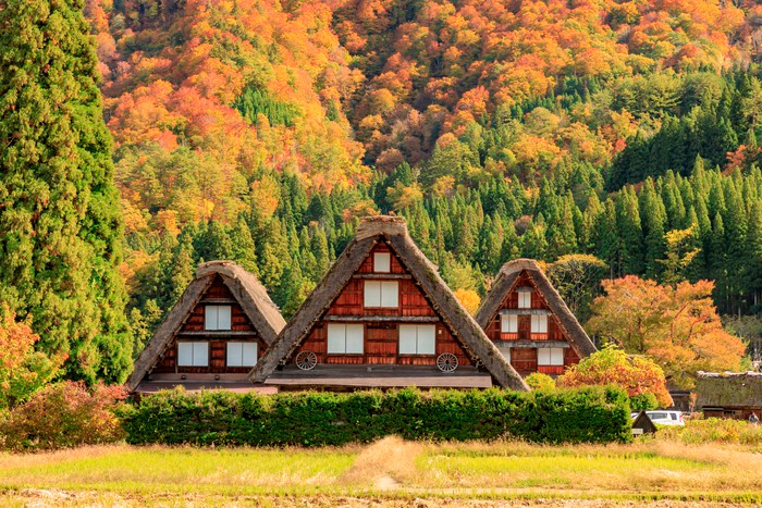 In October the Japanese inaka countryside is a sight to behold! These farm houses surrounded in autumn colors are stunning!