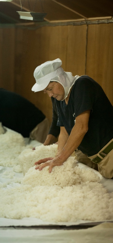 Tamanohikari uses only the finest rice available in Japan.