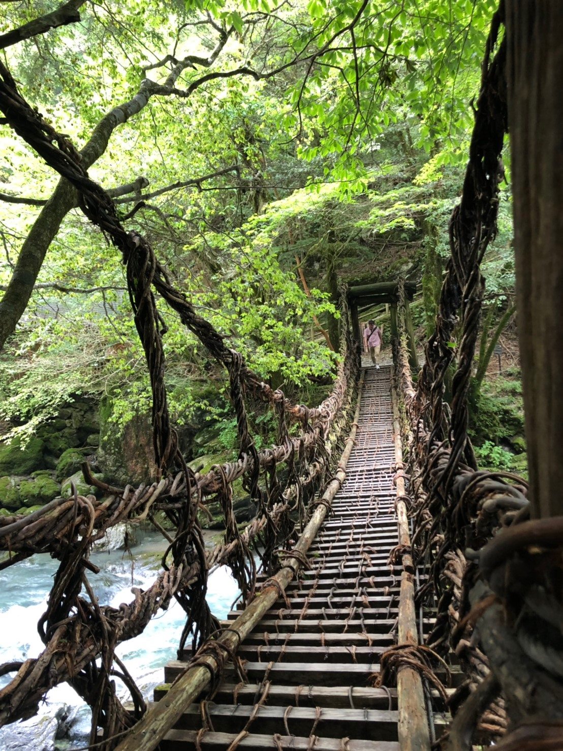 The vine bridges of the Iya Valley in Shikoku